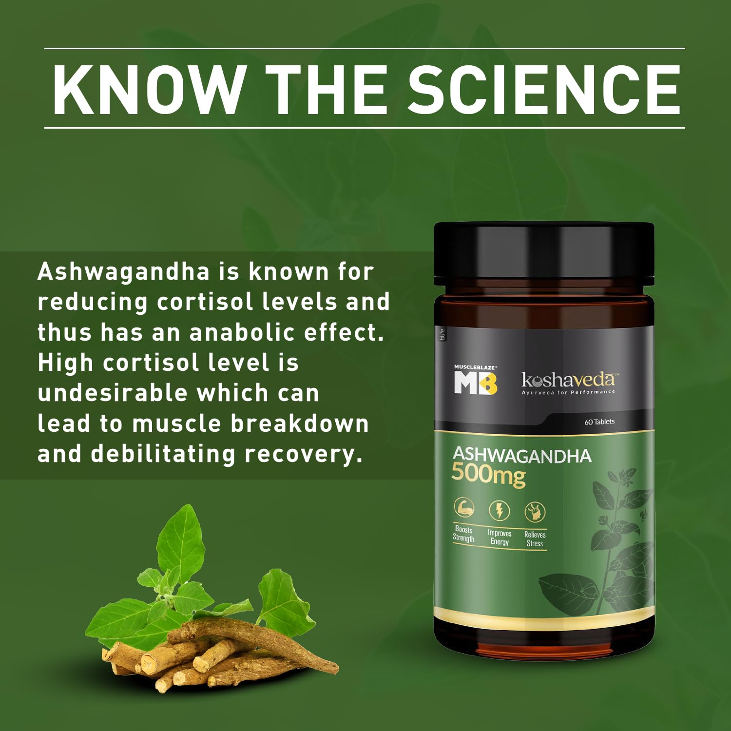 MuscleBlaze Koshaveda - Ashwagandha 500mg, 30 tablet(s) - Health Core India